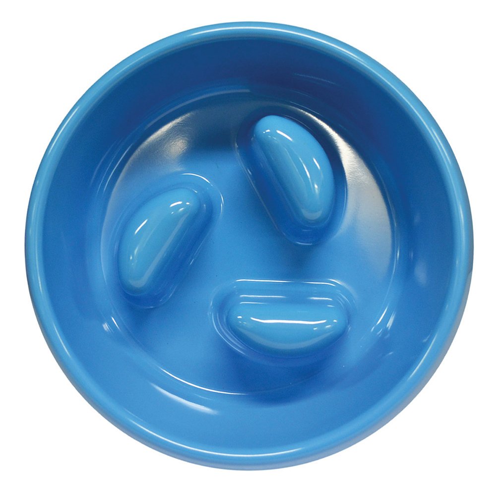 Slow Feeder Dog Bowl – Improve Digestion & Prevent Bloating